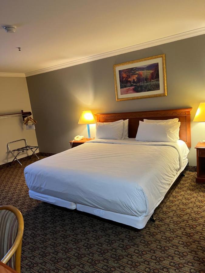 Hotel Xola Moreno Valley Dış mekan fotoğraf
